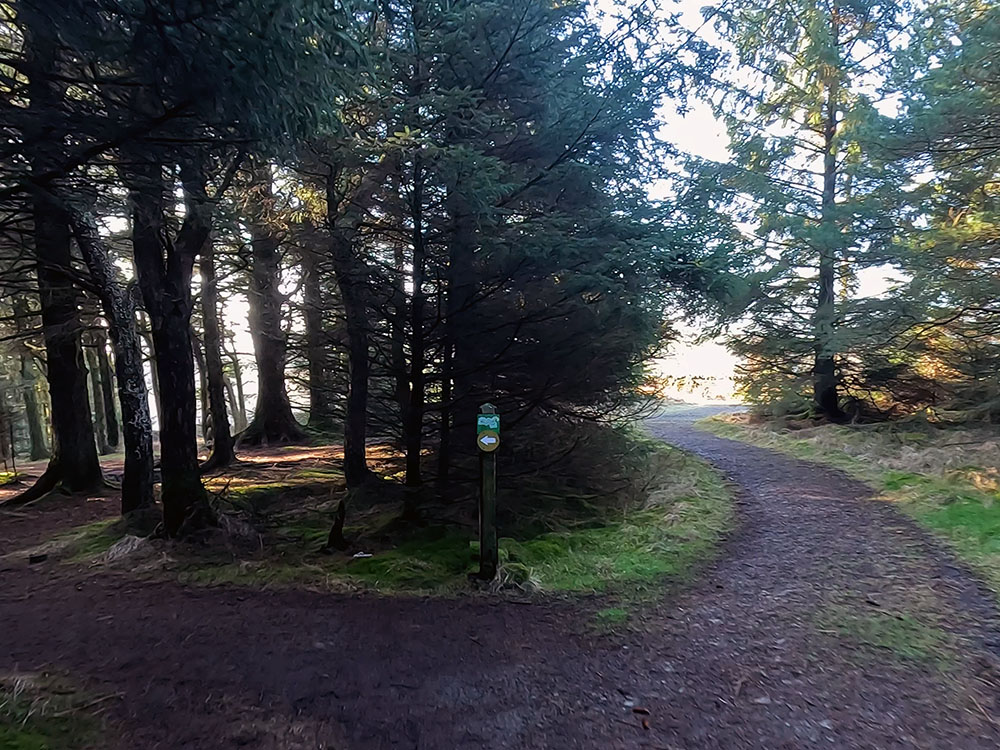 Path junction in Pendle Sculpture Trail