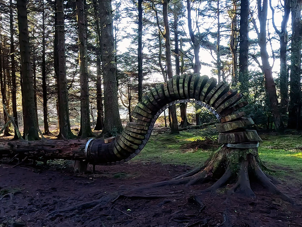 Reconnected 1 in the Pendle Sculpture Trail