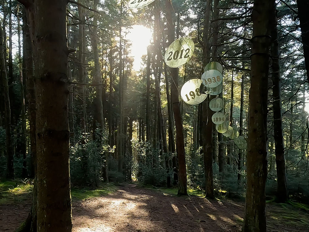 Rings of Time in the Pendle Sculpture Trail