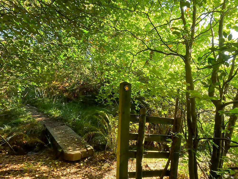 Follow the waymarker over the next small wooden bridge