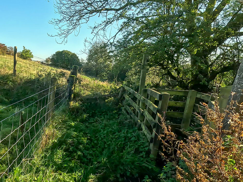 Heading along the fenced track before turning right through the kissing gate at the end of it