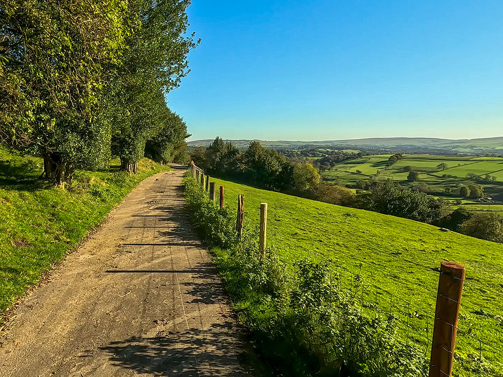 Heading along the track - the Pendle Way heads down to the right by the tress ahead