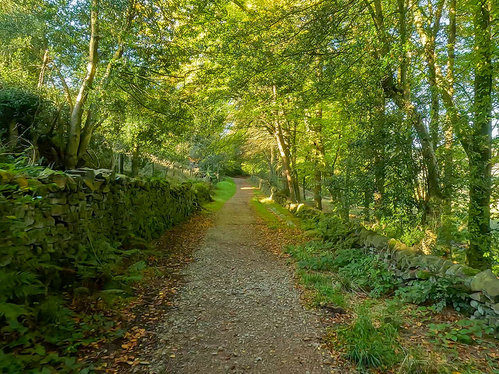 Heading along Heys Lane above Boothman Wood