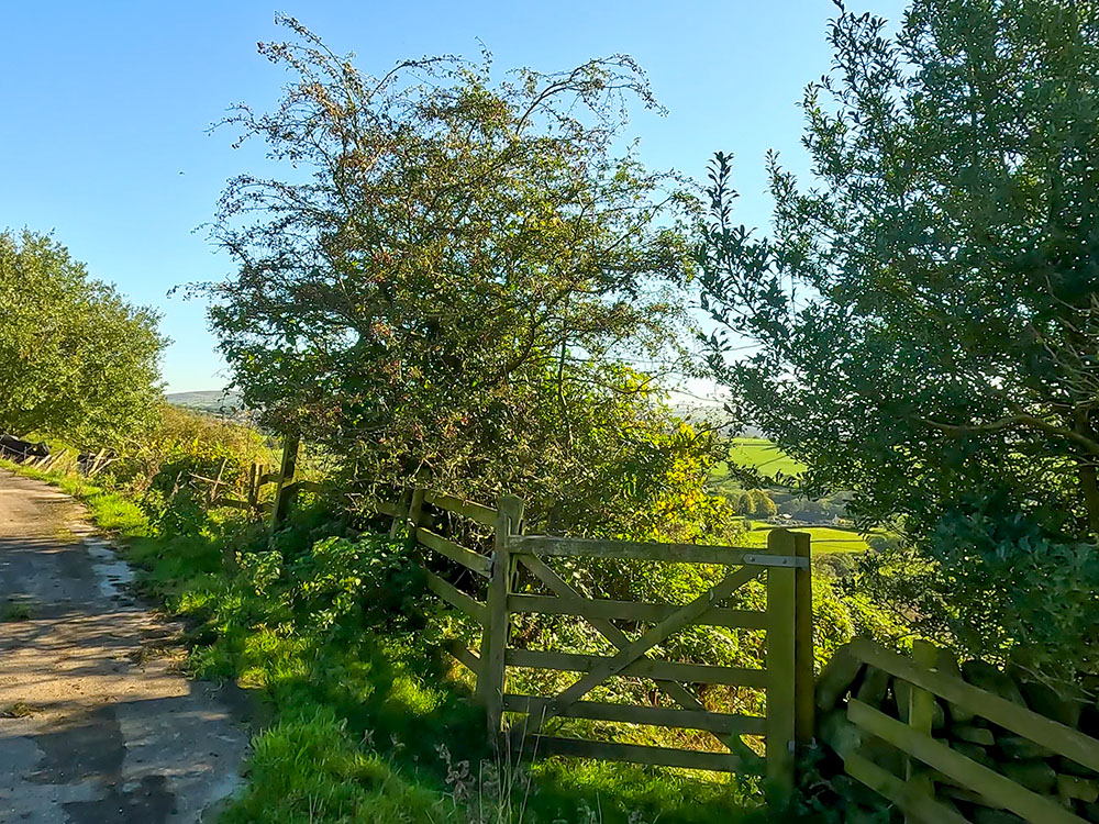 Leave the track by the gate (not well signed) to head downhill