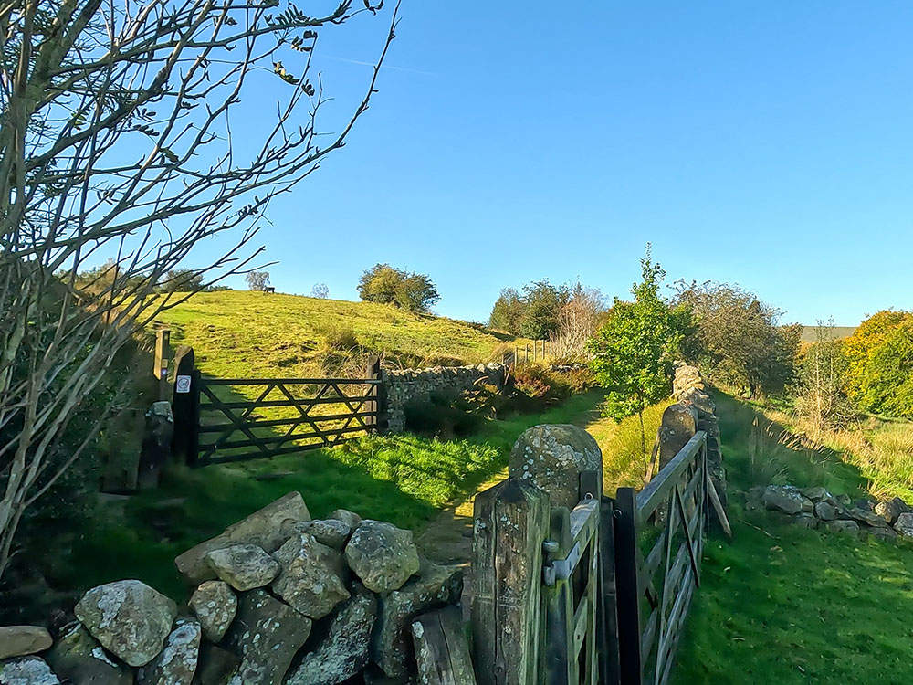 Looking over the gate along Heys Lane