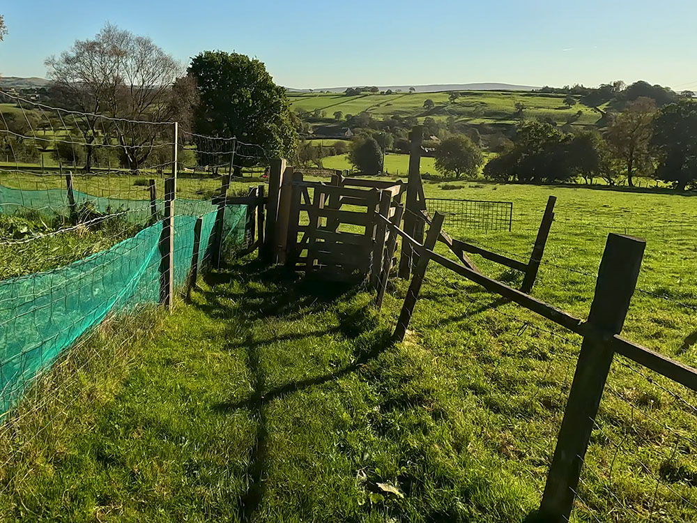 At the end of the short fenced section of path, pass through the kissing gate and head diagonally right