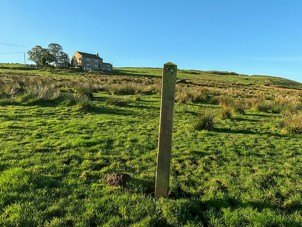Passing by a wooden waymarker