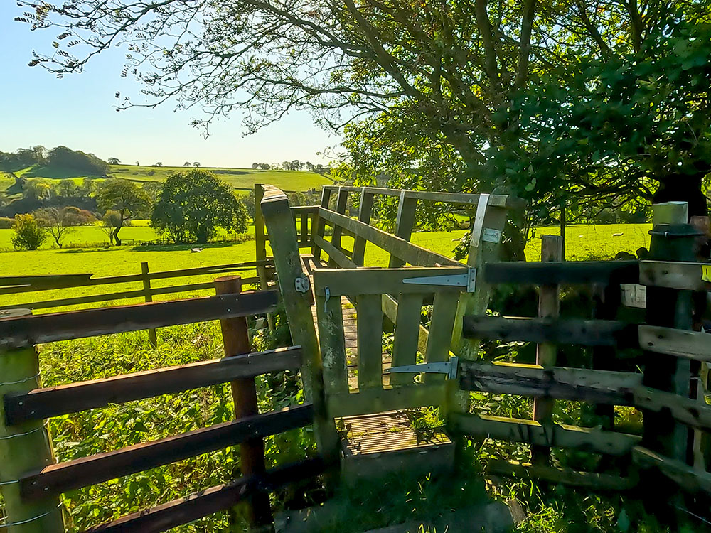 The Pendle Way path heads over the wooden footbridge and straight across the next field