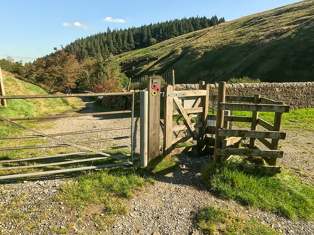 The gate just below Upper Ogden Reservoir