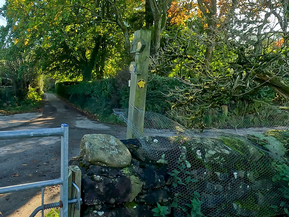 Upon meeting the road, turn immediately right