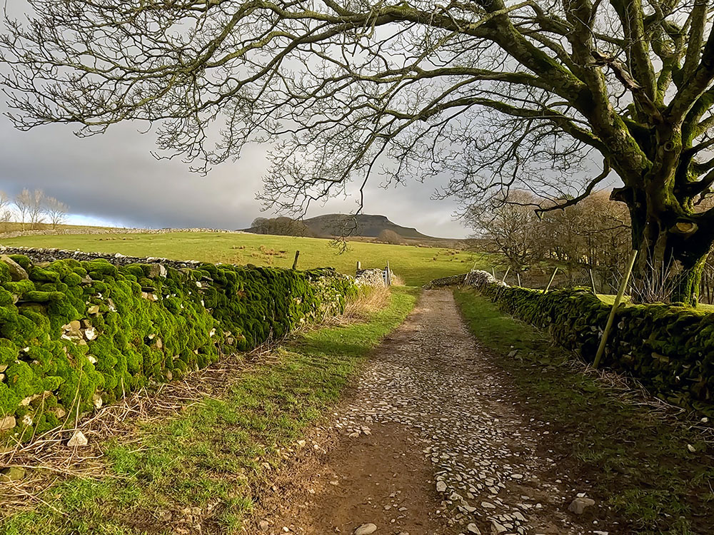 Walled view back up to Pen-y-ghent