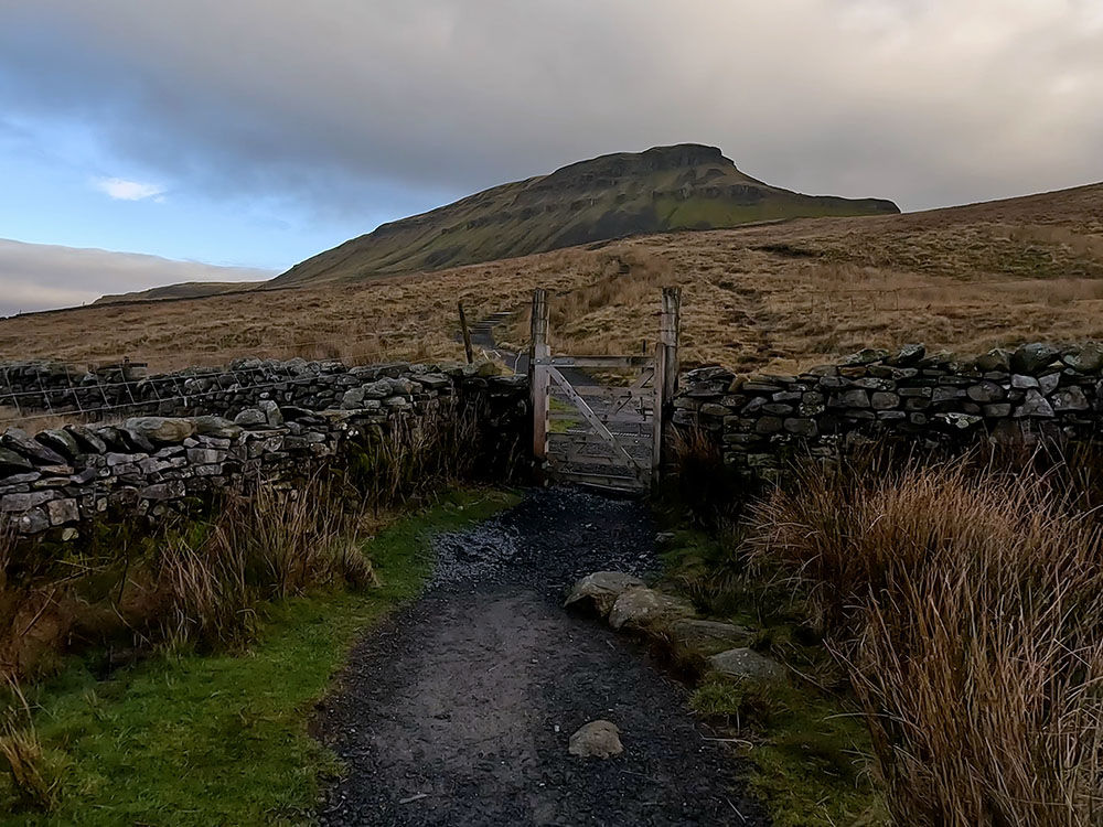 Gate on path heading towards Pen-y-ghent