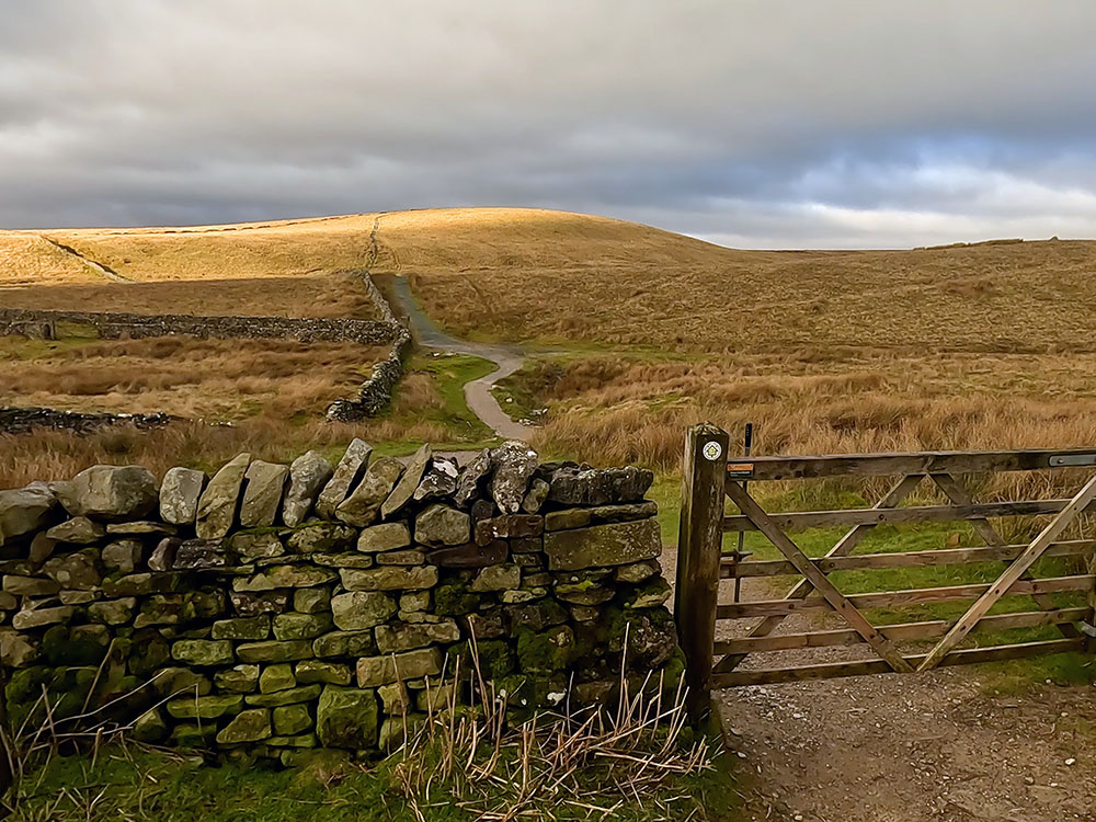 Gate through which the walled Horton Scar Lane can be seen heading off to the left