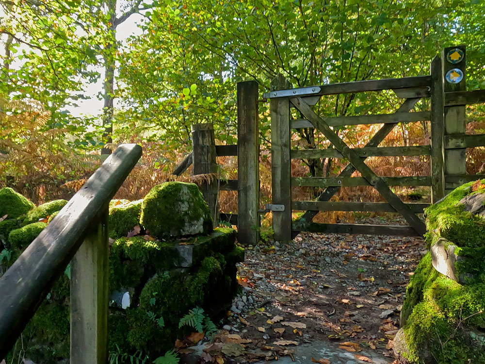 Gate at the top of the steps entering the woods