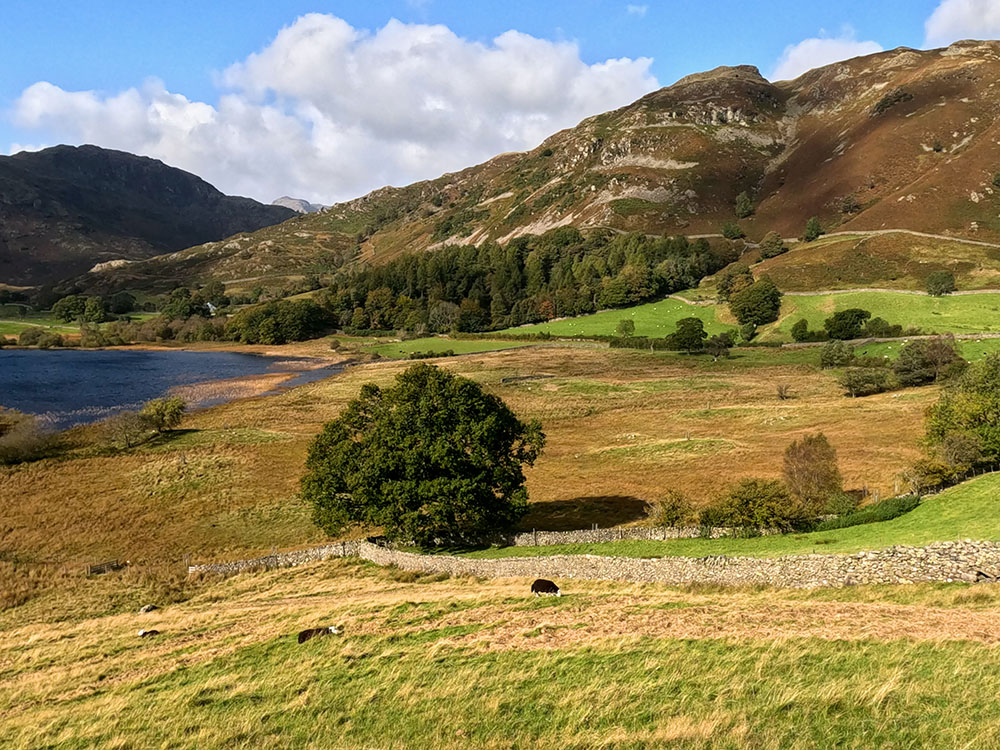 Lingmoor Fell and Little Langdale Tarn