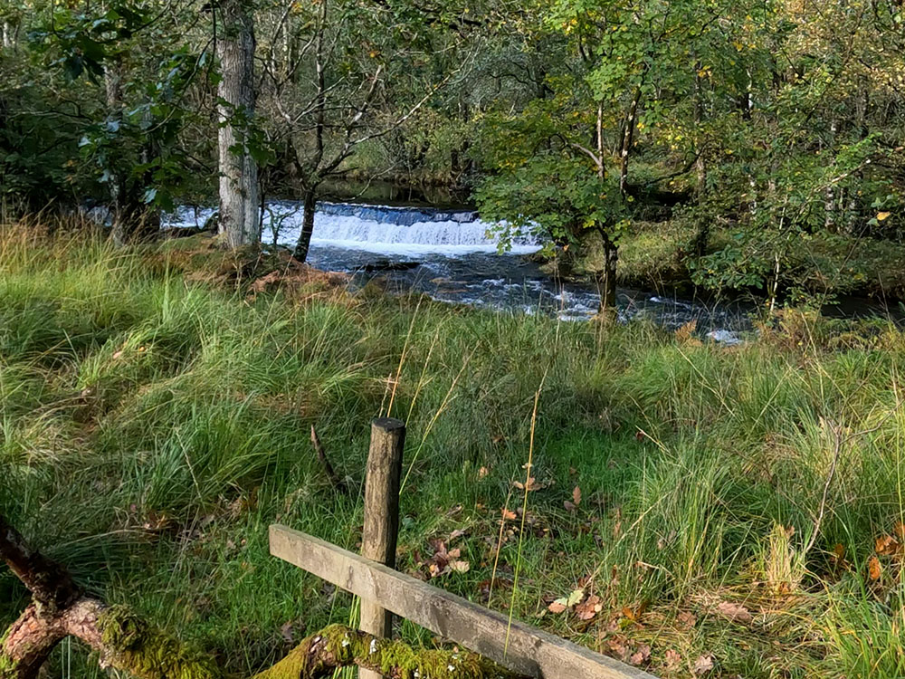 The disused weir