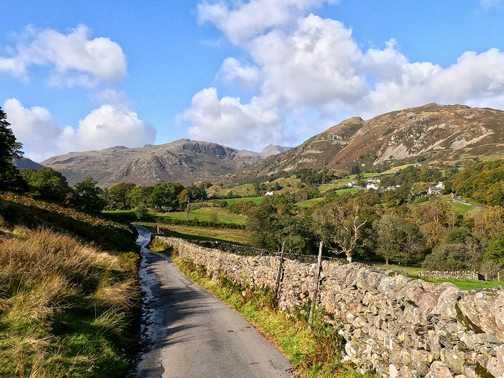 View from the lane