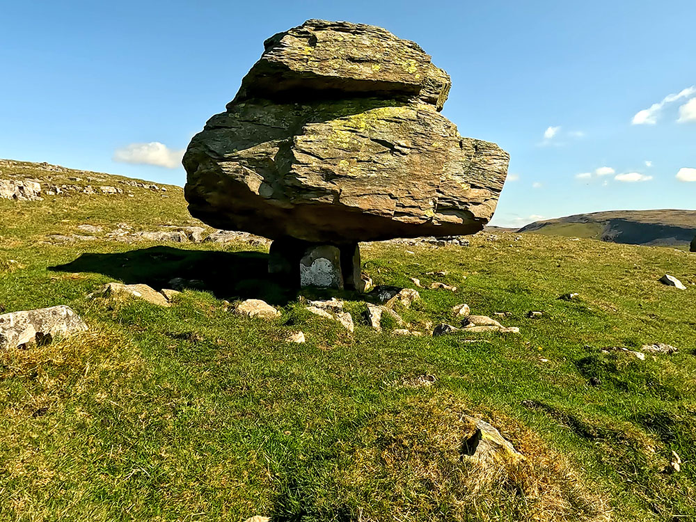 An Erratic at Norber on a small limestone pedestal