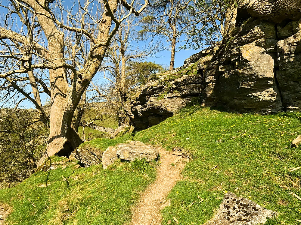 Footpath through Nappa Scars