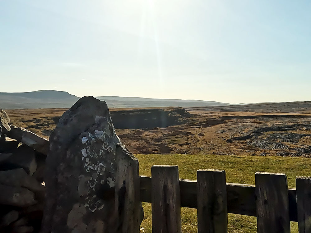 Gate leading down onto Thieves Moss with Pen-y-ghent on the horizon