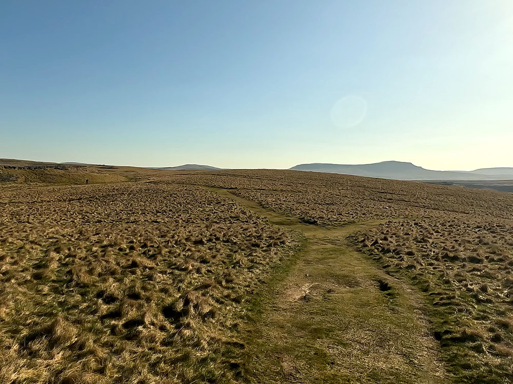 Grassy path forming part of the Pennine Bridleway with Ingleborough on the horizon