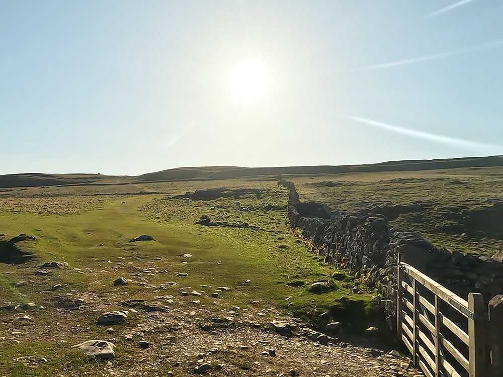 Grassy path heading away from the gate at the top of Long Lane