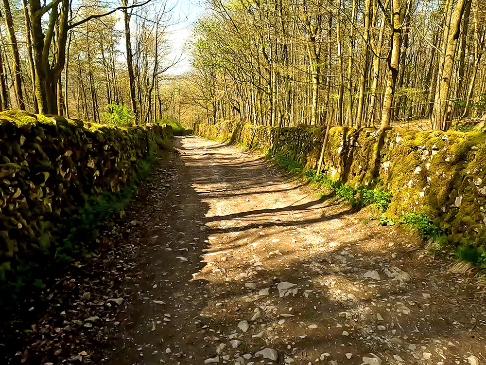 Heading down the walled track back to Clapham