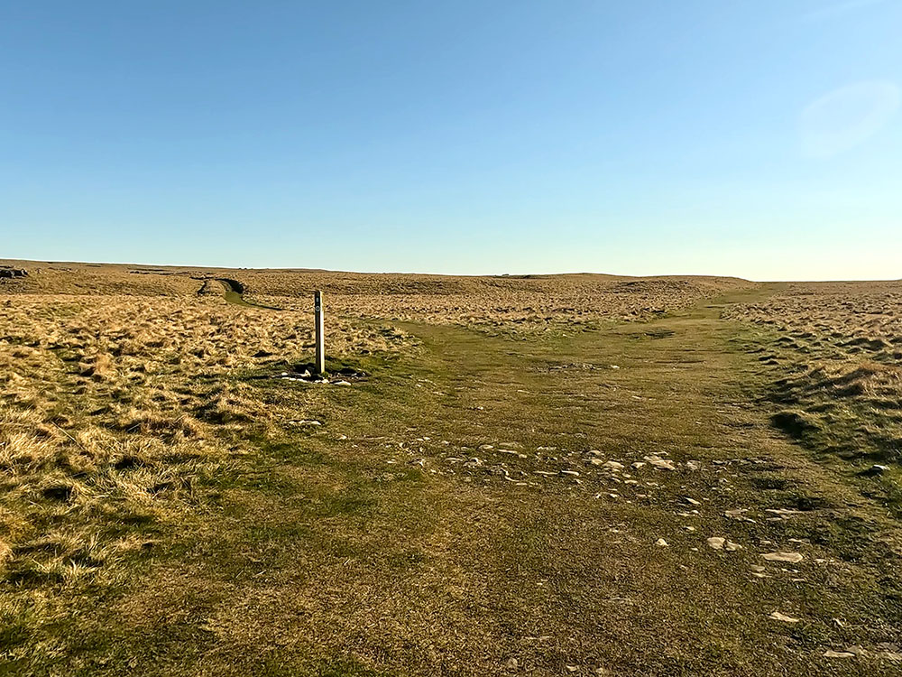 Waymarker on grassy path forming part of the Pennine Bridleway