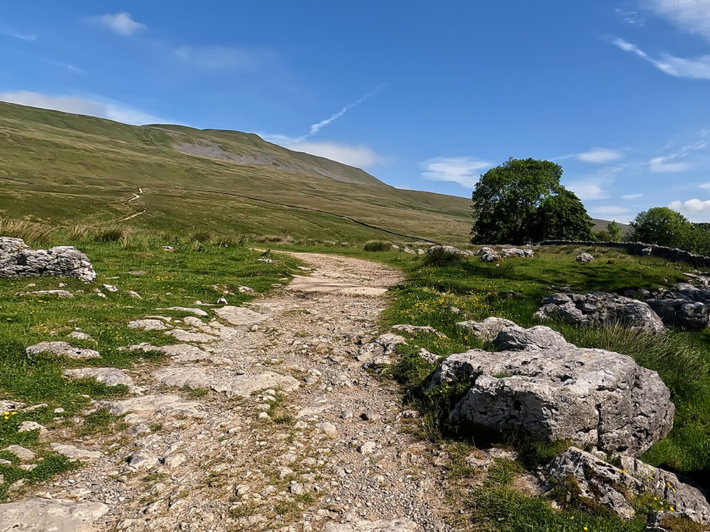 Looking back up towards the summit of Whernside