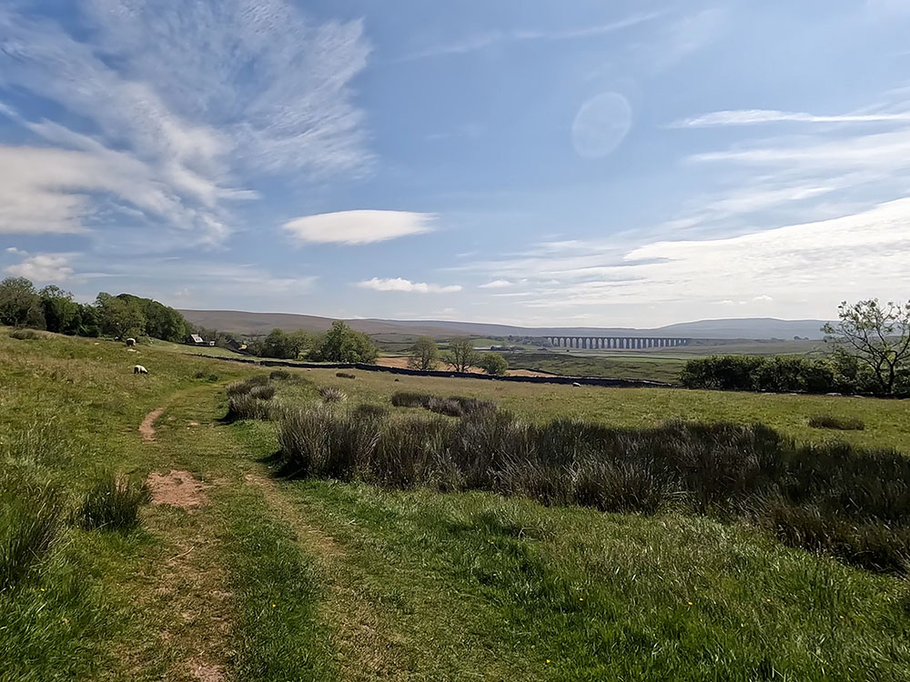 Heading across the fields towards the Ribblehead Viaduct