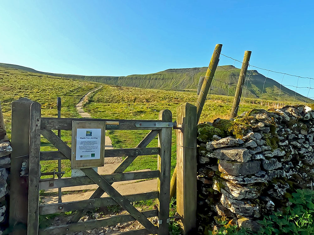 Flagged steps leading away from the gate on the way towards Ingleborough