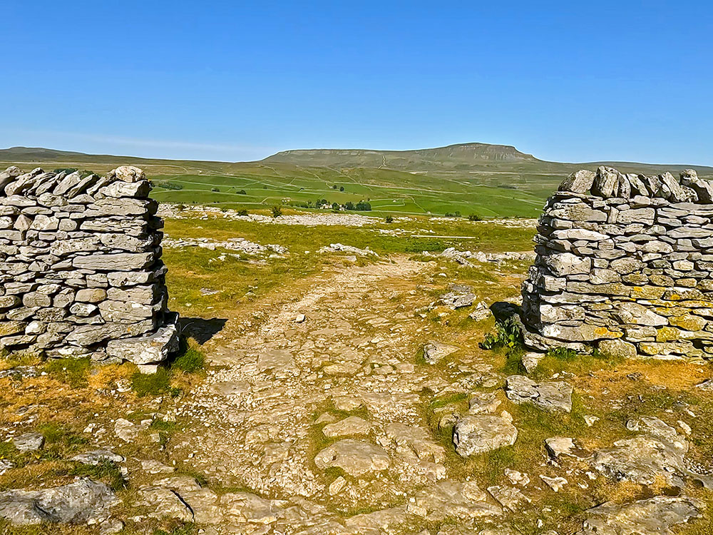 3 Peaks path passes through the gap in the wall with Pen-y-ghent ahead on the horizon