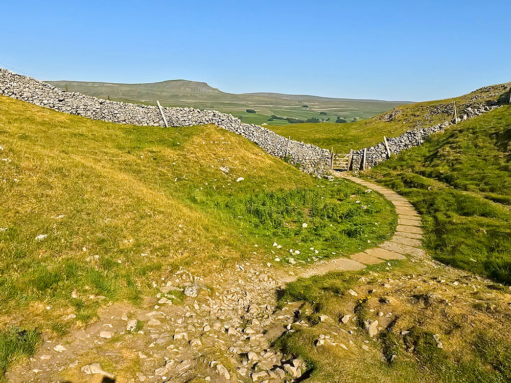 Flagged Yorkshire 3 Peak's path heading down towards the gate in the wall just past Sulber Nick, with Pen-y-ghent on the horizon