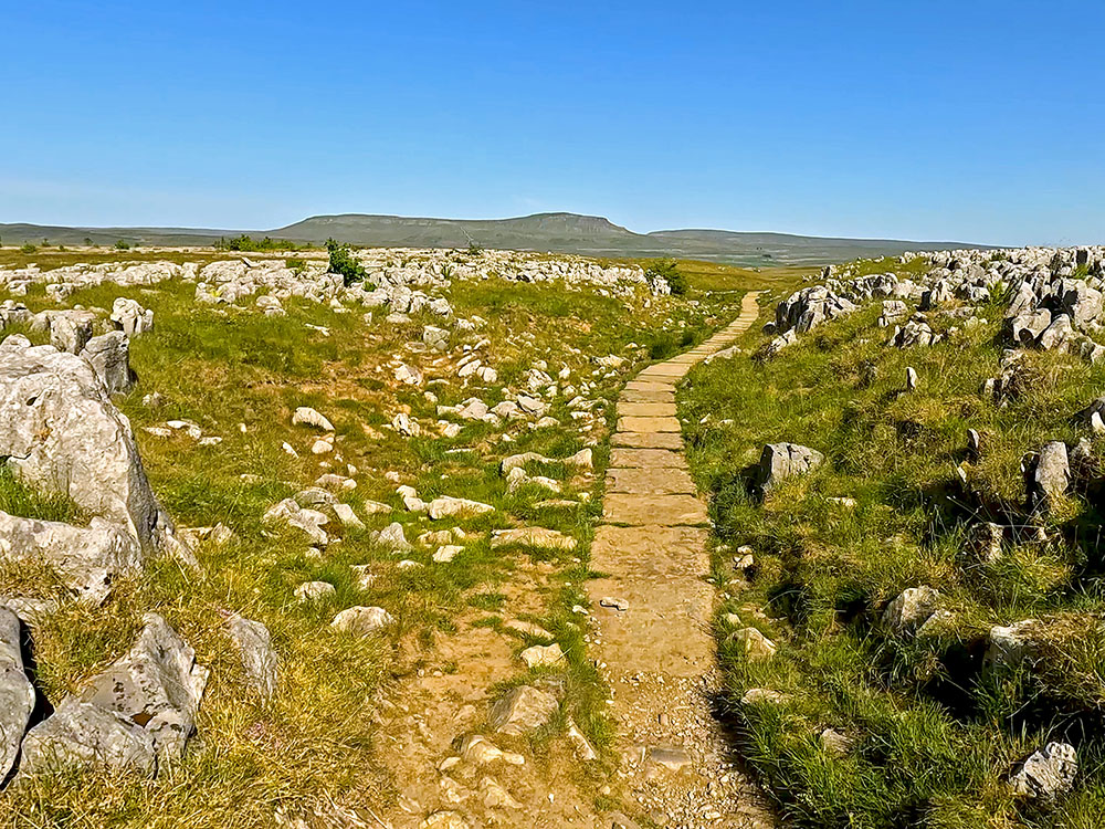 Flagged path heading in the direction of Pen-y-ghent on the horizon