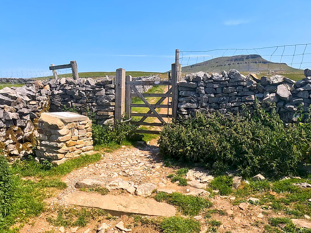 Gate stile by 3 Peaks collection box on the path heading towards Pen-y-ghent
