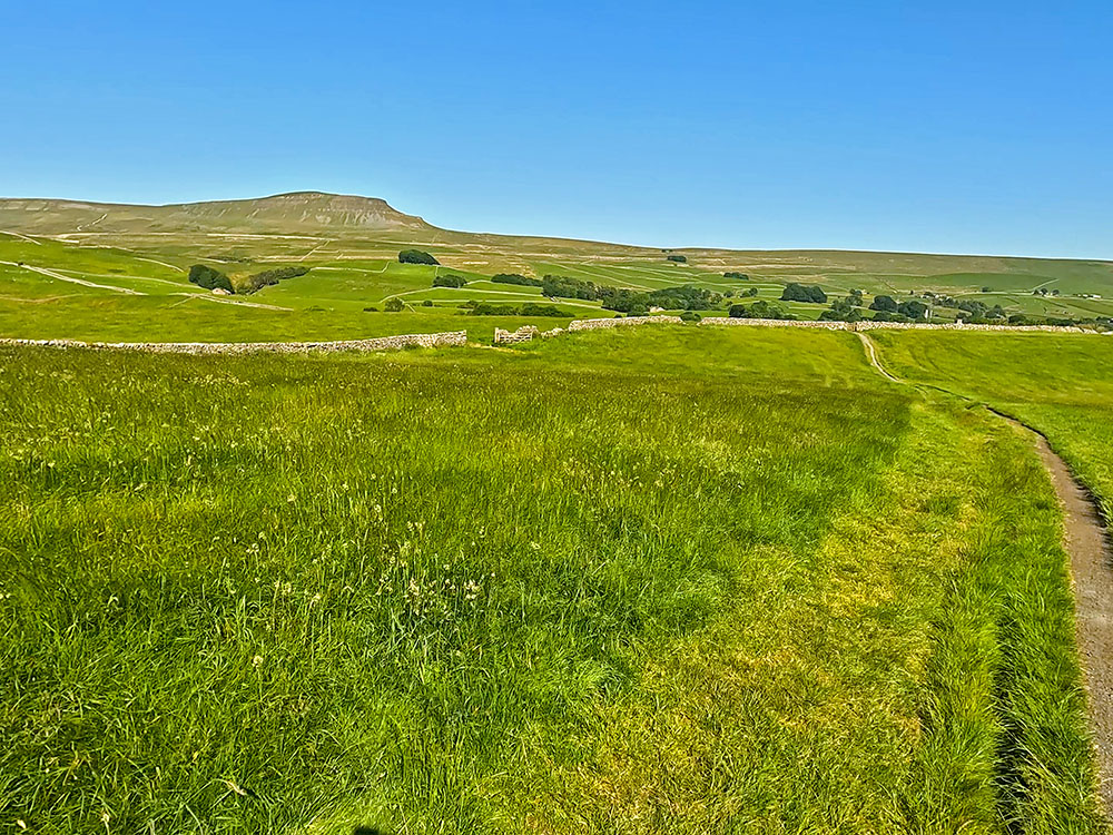 Heading across the fields back towards Horton in Ribblesdale with Pen-y-ghent on the horizon