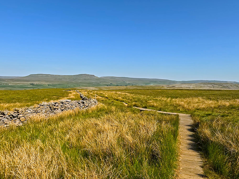 Heading across the wooden boards with Pen-y-ghent ahead