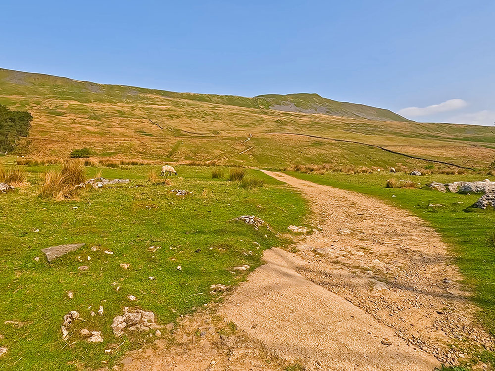 Looking back up the path heading down from Whernside