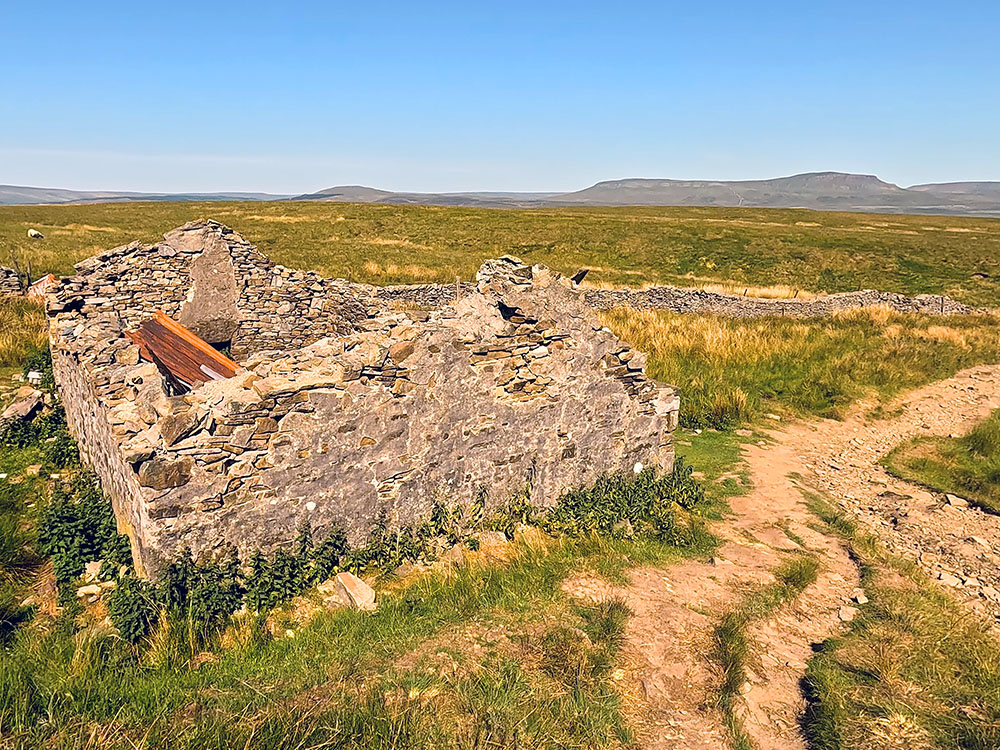 Passing the ruins of the shooting hut with Pen-y-ghent on the horizon