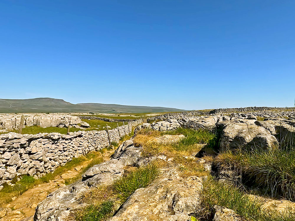 Passing through the limestone pavement on the 3 Peaks path
