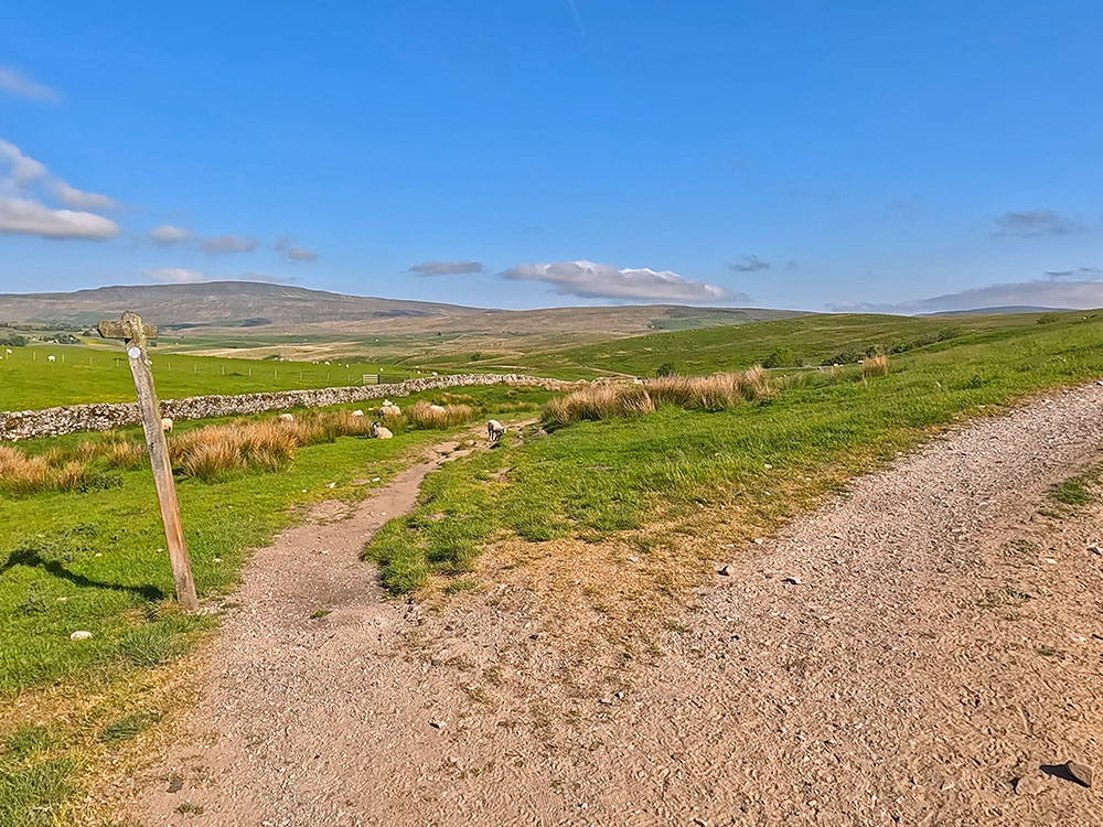 Take the narrower left-hand path where the track splits - Whernside on the horizon