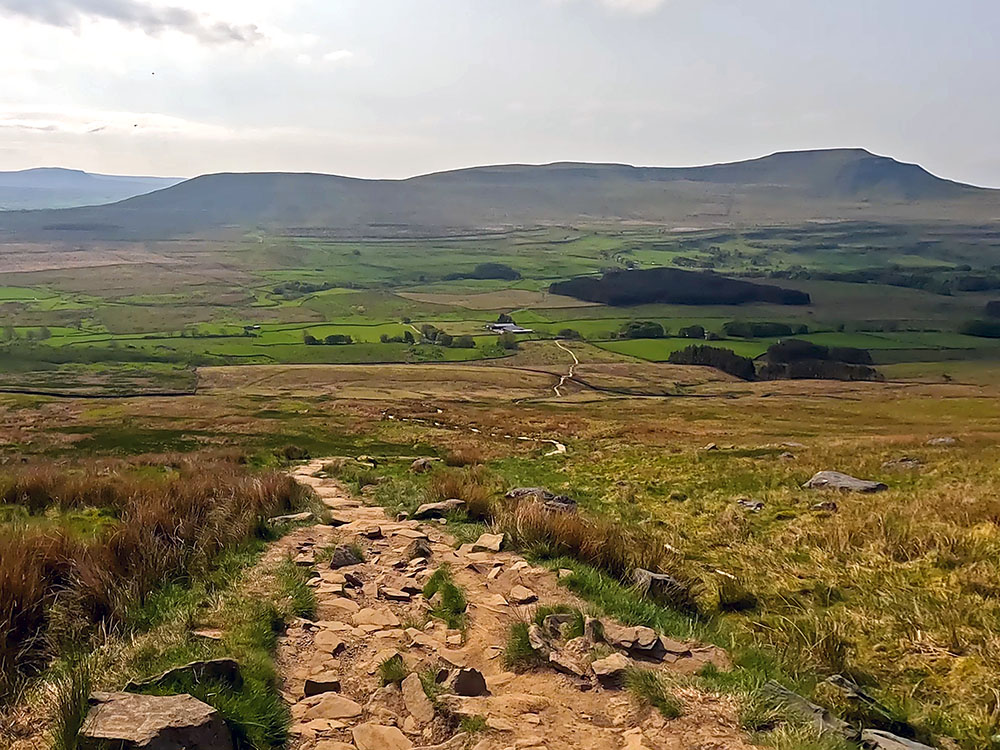 The rough path forming part of A Pennine Journey heading down towards Bruntscar from Whernside