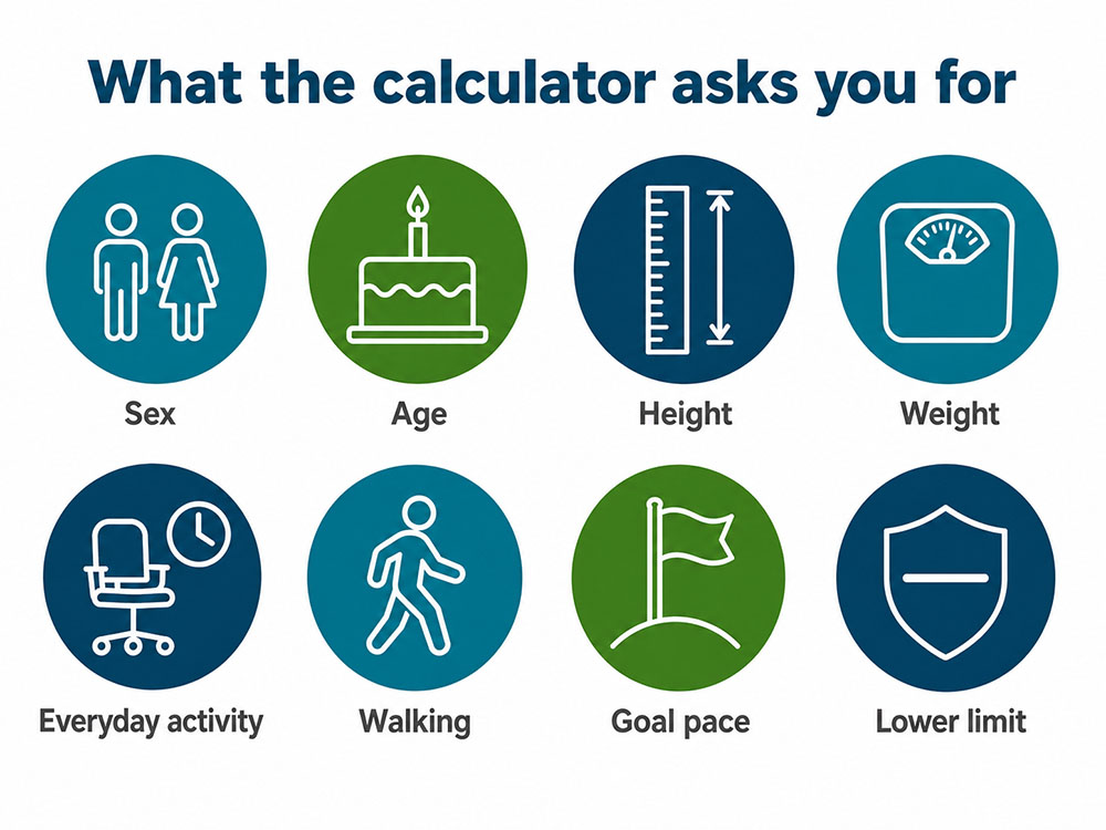 Icons for sex, age, height, weight, everyday activity, walking, goal pace and lower calorie limit used by a calorie calculator.