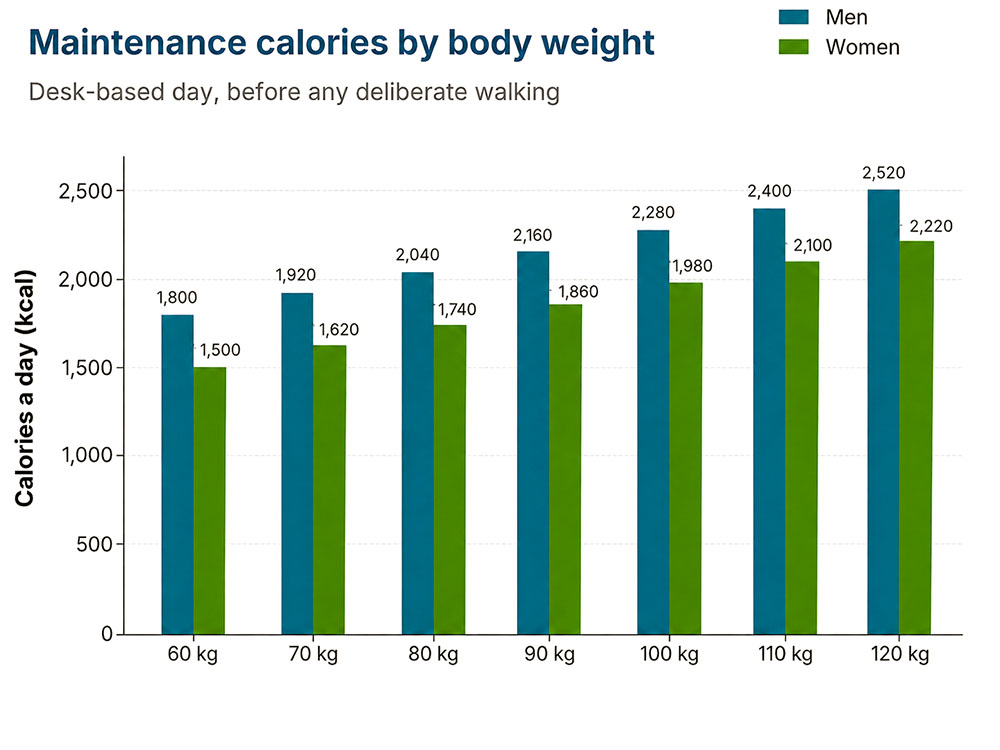 Bar chart comparing estimated daily maintenance calories for men and women from 60 kg to 120 kg on a desk-based day before deliberate walking.