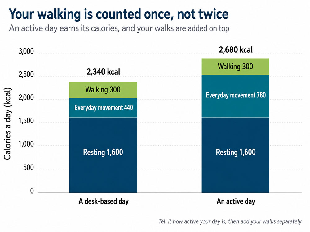 Stacked bar chart comparing a desk-based day and an active day, with resting metabolism, everyday movement and walking calories added separately.