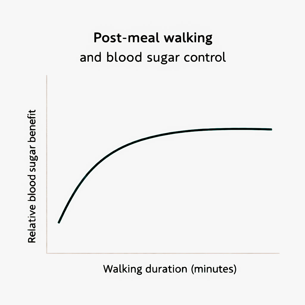 Line graph showing early blood sugar benefits from post-meal walking with diminishing returns over time