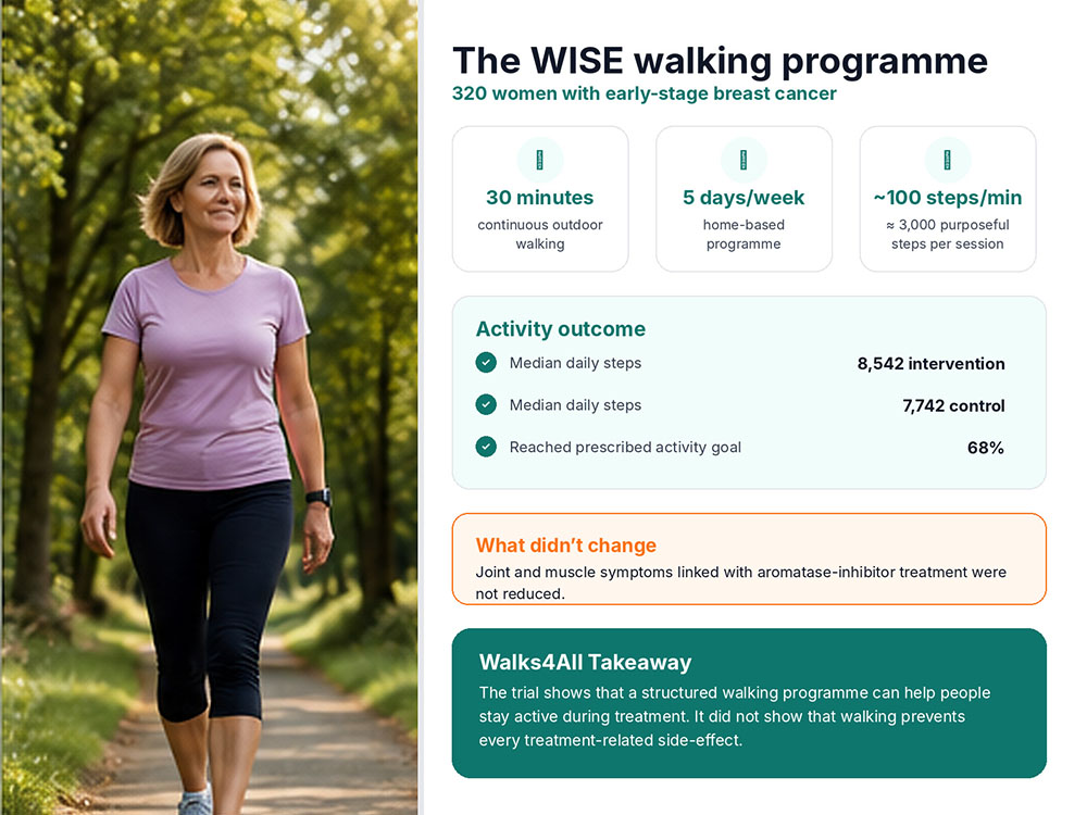 Hybrid infographic showing the WISE breast cancer walking programme of 30 minutes outdoors, five days a week, with activity outcomes and the finding that joint symptoms were not reduced.