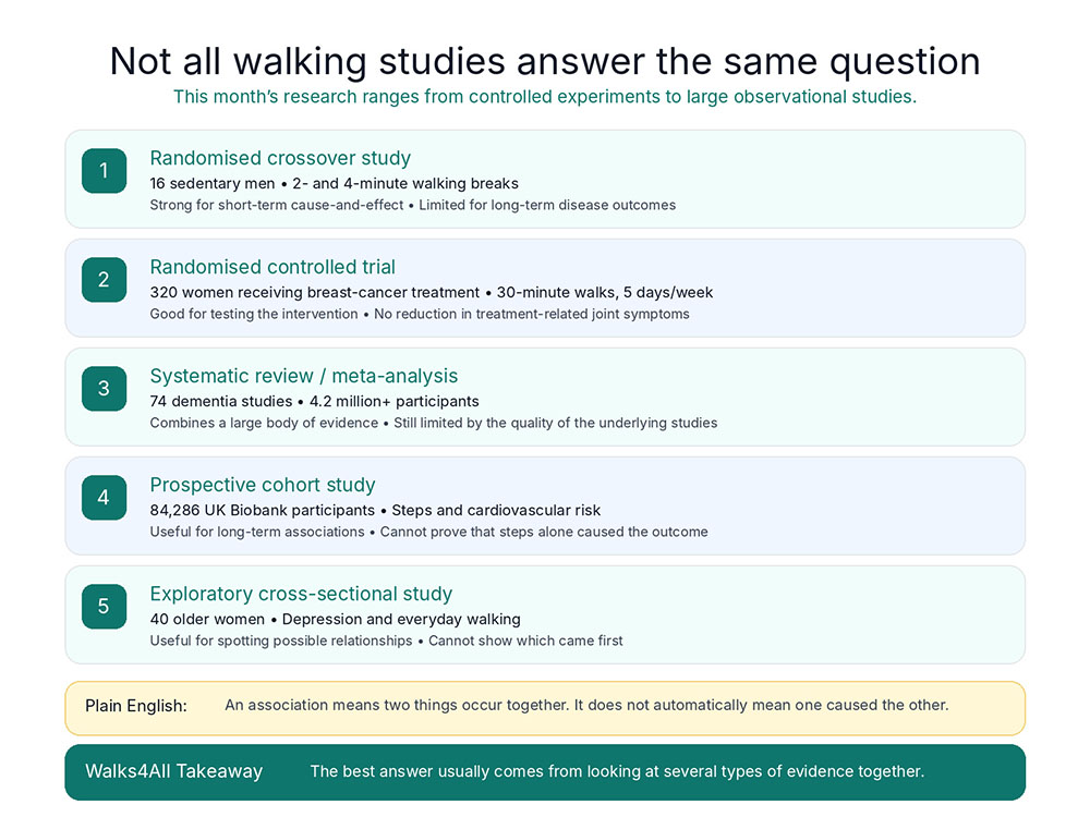 Evidence infographic explaining randomised crossover studies, randomised trials, meta-analyses, cohort studies and cross-sectional studies using examples from August 2026 walking health research.