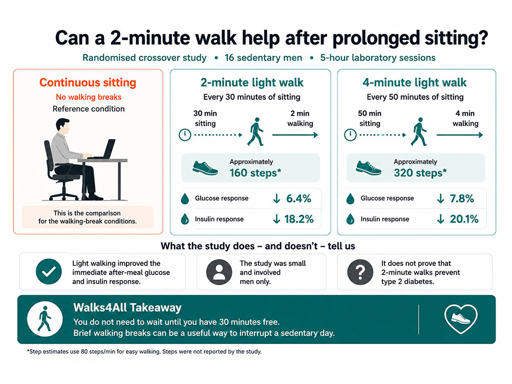 Infographic comparing uninterrupted sitting with 2-minute and 4-minute light-walking breaks, showing estimated steps and reductions in post-meal glucose and insulin in 16 sedentary men.
