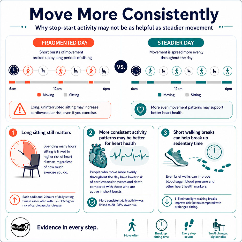 Move More Consistently infographic comparing fragmented stop-start activity with steadier movement through the day and explaining associations with cardiovascular health.